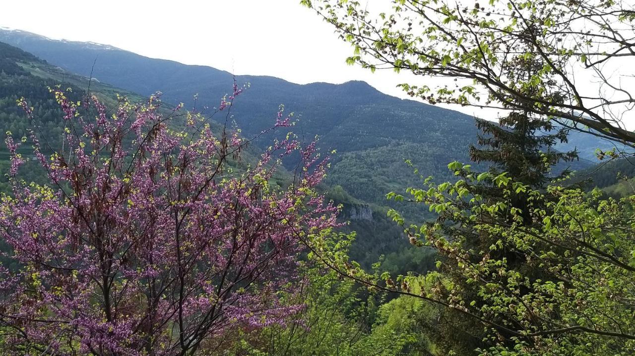 Siat Apartment Queralbs